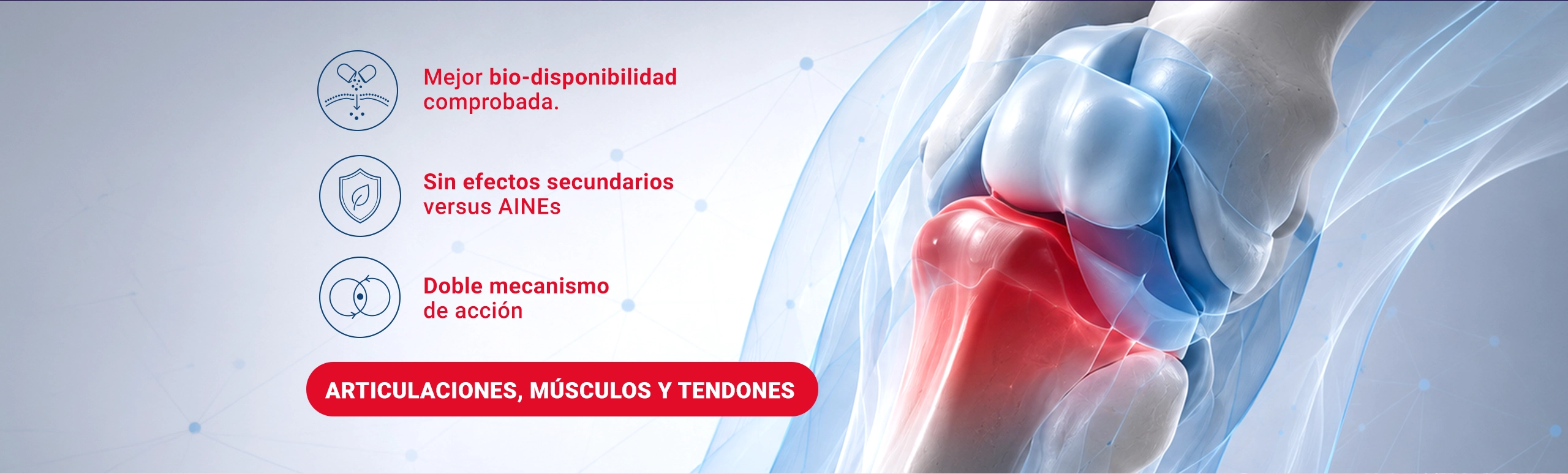 Flexofytol para articulaciones, músculos y tendones