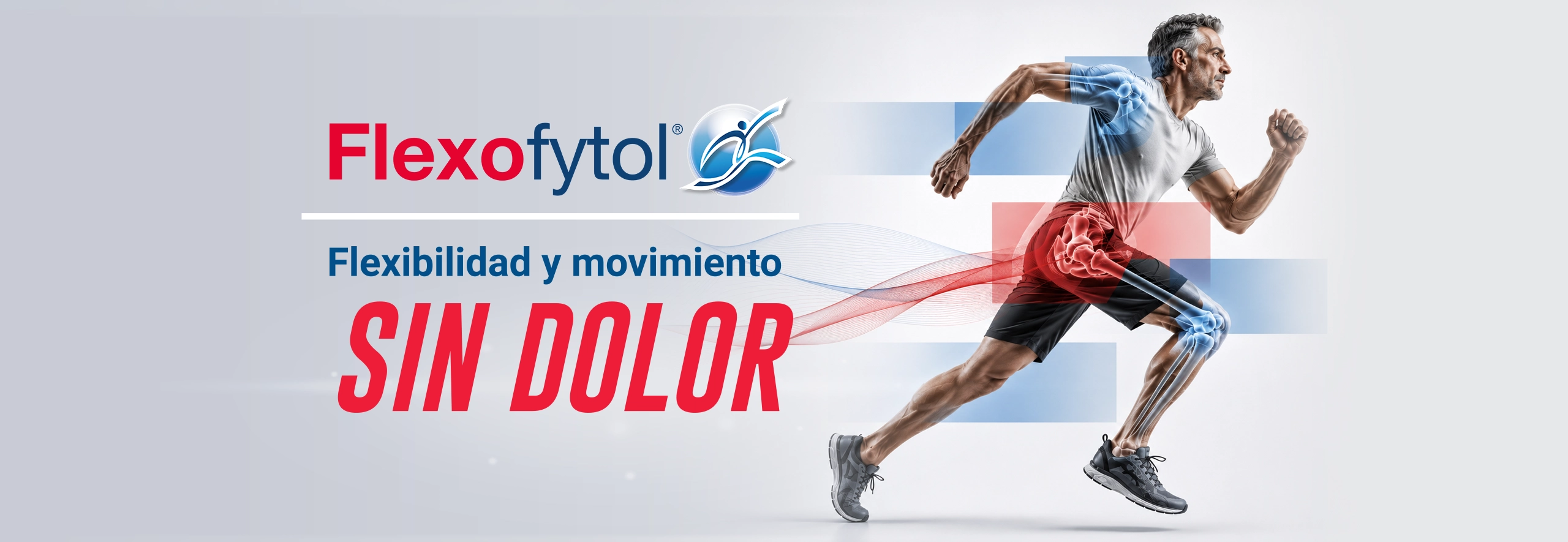 Flexofytol, flexibilidad y movimiento sin dolor